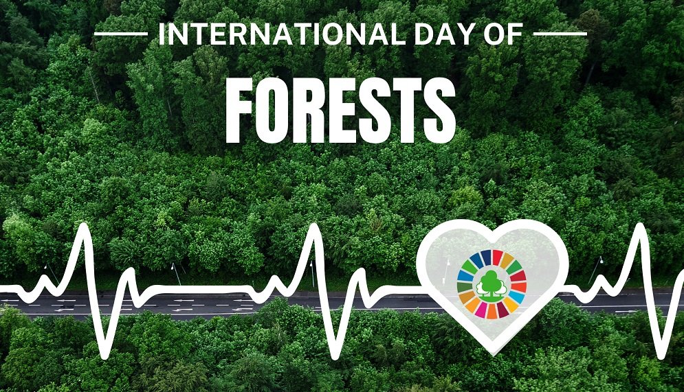 21th March 2024 World Forestry Day HD Photos